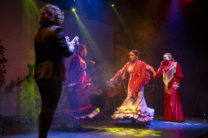 Espagne, Catalogne, Barcelone, City Hall Barcelona, spectacle de danse Flamenco