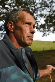 France, Pyrenees Atlantiques, Basque Country, Aldudes valley, Urepel, the manech black head sheep breeder Jean-Bernard Etchebarren