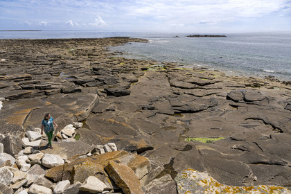 France, Finistère, Iroise Sea, Molene Island, Christine Demeure who manages the only grocery store on the island during her daily walk on the wild west coast, Flat Stones shore
