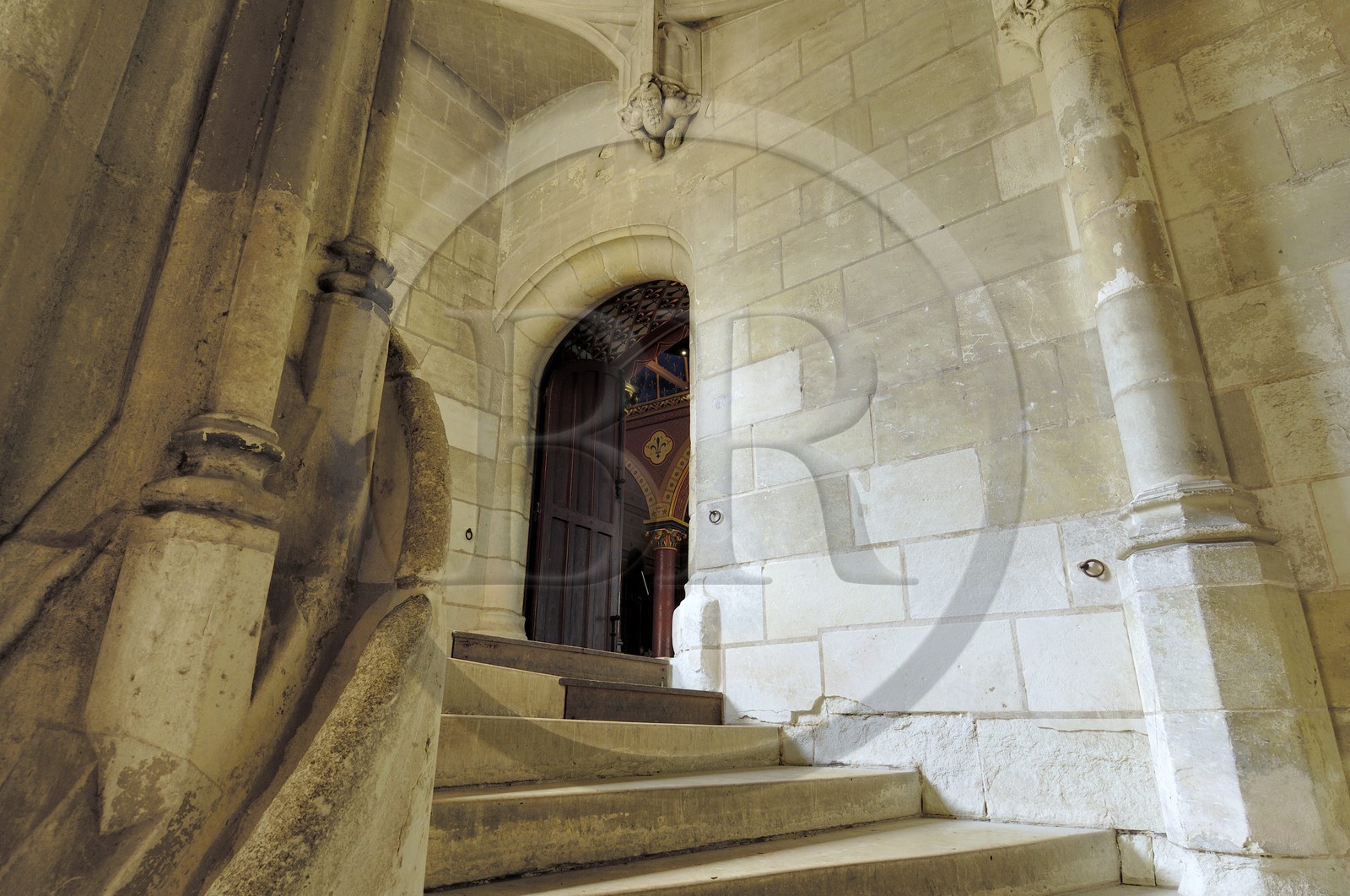 France, Loir-et-Cher (41), vallée de la Loire classée au Patrimoine Mondial de l'UNESCO, château de Blois, escalier menant à la salle des Etats