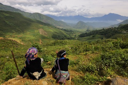 Vietnam, Lao Cai province, North-West Sapa district, farmers from the Blue Hmong minority group
