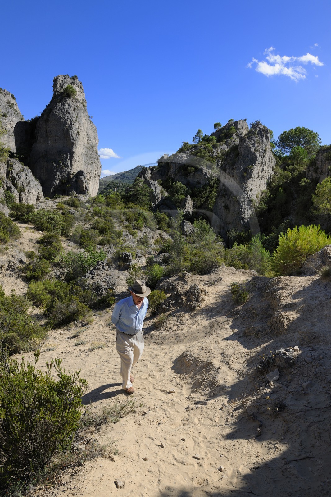 France, Hérault (34), Cirque de Mourèze, rochers dolomitiques