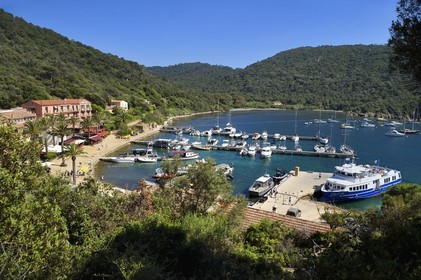 France, Var (83), Iles d'Hyères, parc national de Port Cros, Ile de Port-Cros, le port et village dans la rade