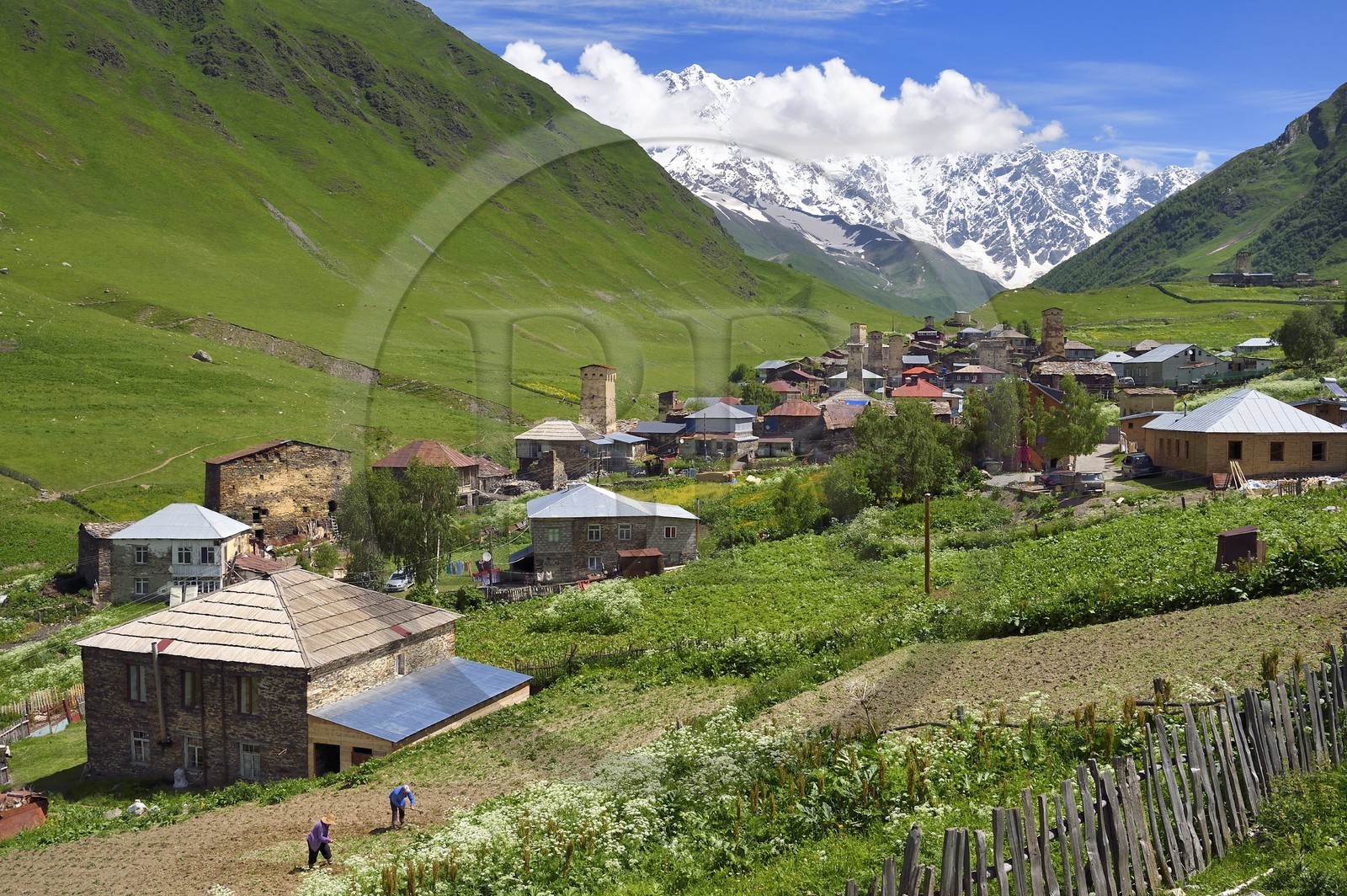 Géorgie, Haute Svanétie (Zemo Svaneti), village de Ushguli, classé Patrimoine Mondial de l'UNESCO, tours défensives Svanes dressées à coté des maisons et le mont Chkhara (plus haut sommet de Georgie avec 5 193 m) en arrière plan, deux fermiers labourent leur champ Géorgie, Haute Svanétie (Zemo Svaneti), village de Ushguli, classé Patrimoine Mondial de l'UNESCO, tours défensives Svanes dressées à coté des maisons et le mont Chkhara (plus haut sommet de Georgie avec 5 193 m) en arrière plan, deux fermiers labourent leur champ