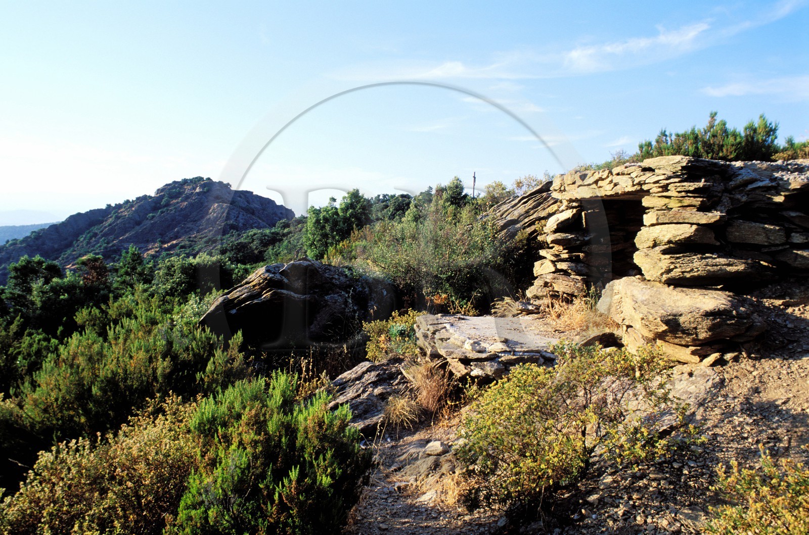 France, Var (83), le massif des Maures