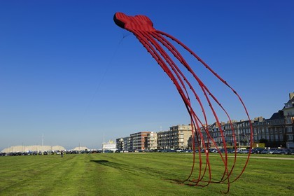 France, Seine-Maritime, Dieppe, giant kite on the lawn of the seafront promenade