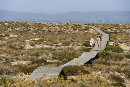 Portugal, Algarve, Ria Formosa Natural Park, Faro, wooden plank path on Island of Barreta or Deserta (Ilha da Barretta or Deserta)
