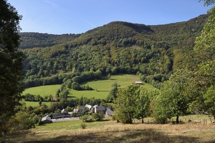 France, Cantal, Parc Naturel Régional des Volcans d'Auvergne (regional nature park of Auvergne volcanoes), Brezons valley, the hamlet of Bourguet