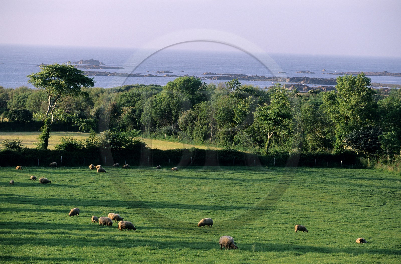 France, Manche, Cotentin, Cap de la Hague region