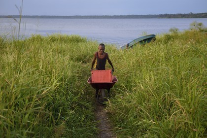 Gabon, province de Ogooué- Maritime, Omboué, petite ville située au bord de la lagune Fernan Vaz (Nkomi), enfant déchargeant une caisse de bière d'un bateau