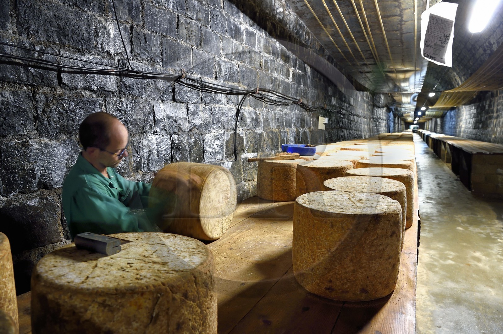 France, Cantal (15), La Chapelle-Laurent, cave d'affinage pour les fromages Marcel Charrade dans l'ancien tunnel ferroviaire de la ligne Saint-Flour - Brioude long d’un kilomètre, l'affineur Gautier Bouchet pratique le retournement des meules de fromage Cantal France, Cantal (15), La Chapelle-Laurent, cave d'affinage pour les fromages Marcel Charrade dans l'ancien tunnel ferroviaire de la ligne Saint-Flour - Brioude long d’un kilomètre, l'affineur Gautier Bouchet pratique le retournement des meules de fromage Cantal