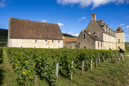 France, Cote d'Or, cultural Landscape of the climates of Burgundy listed as World Heritage by UNESCO, Route des Grands Crus (road of Vintage Wines), vineyard of the Côte de Nuits, Vougeot, the Chateau of Clos de Vougeot