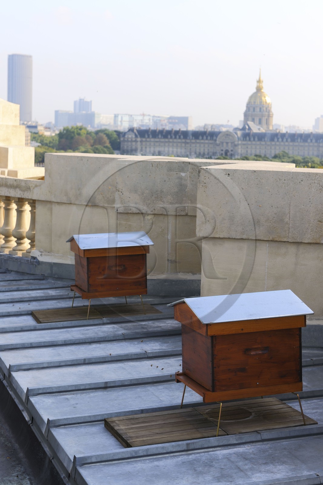 France, Paris (75), les ruches sur le toit du Grand Palais