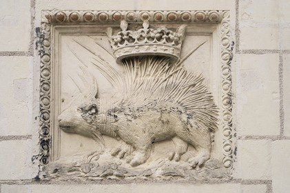 France, Loir et Cher, Blois, Sardini Mansion, Rue du Puits Chatel, only porcupine of Louis XII original