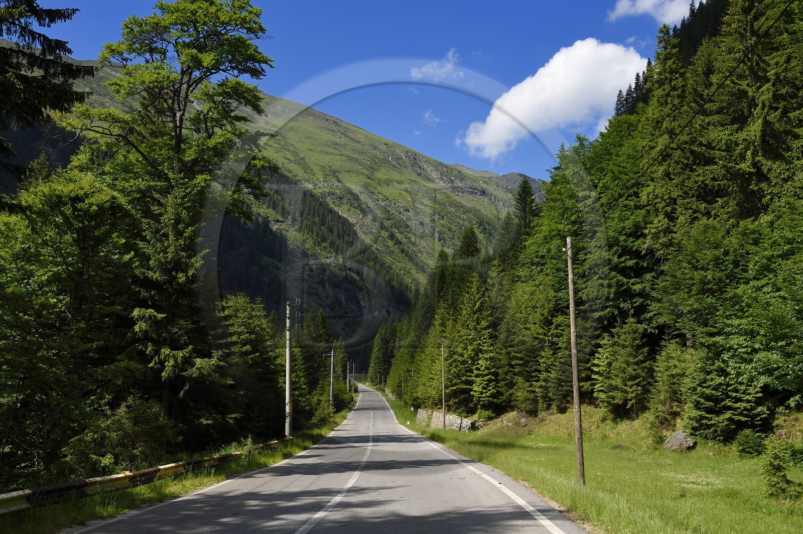 Roumanie, Valachie, Muntenie, Comté de Arges, les monts Fagaras le long de la Route Transfagarasan dans les Carpates du Sud Roumanie, Valachie, Muntenie, Comté de Arges, les monts Fagaras le long de la Route Transfagarasan dans les Carpates du Sud