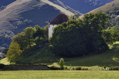 France, Pyrenees Atlantiques, Basque Country, Saint Etienne de Baigorry, Etxauz castle