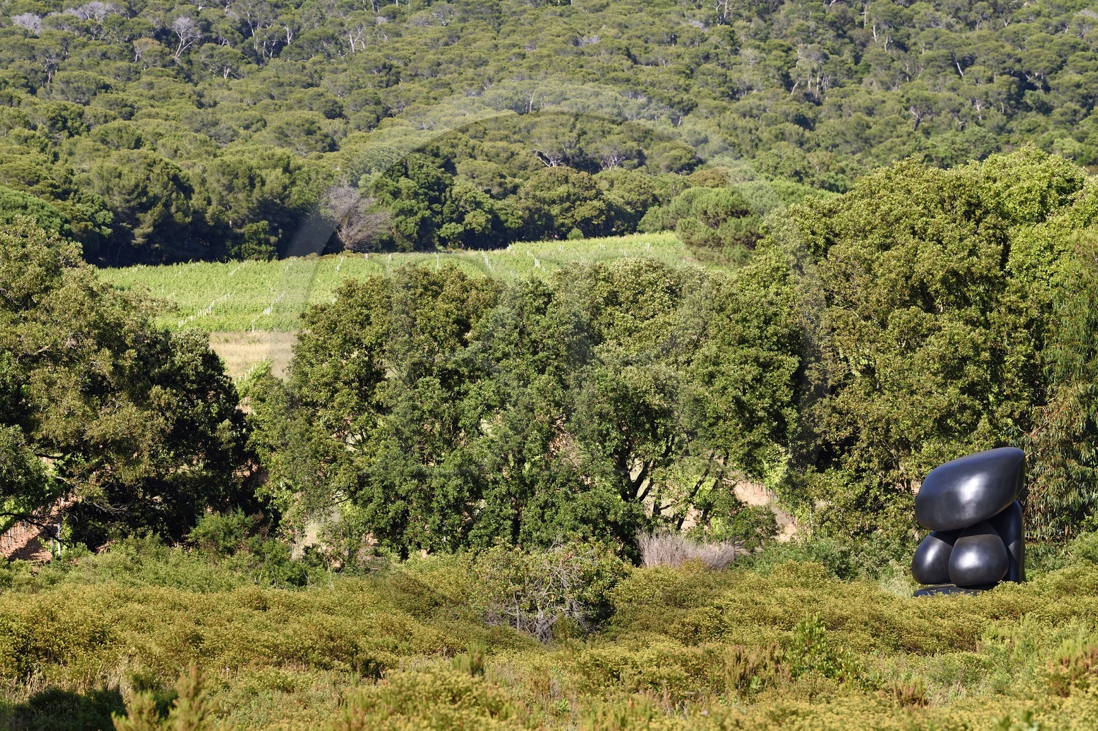 France, Var (83), Iles d'Hyères, parc national de Port Cros, Ile de Porquerolles, la Fondation Carmignac, LOLO de Wang Keping