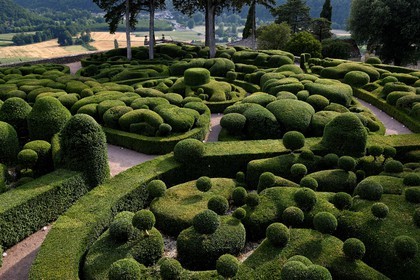 France, Dordogne, Perigord Noir, Dordogne Valley, Vezac, park from Les Jardins de Marqueyssac of the 18th century, terraced gardens with box tree inspired by Le Notre