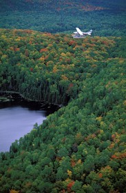 Canada, province de Québec, survol en hydravion du Parc National de la Mauricie (vue aérienne)