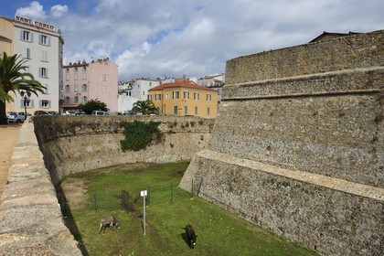 France, Corse-du-Sud (2A), Ajaccio, la Citadelle Miollis dans la vieille ville
