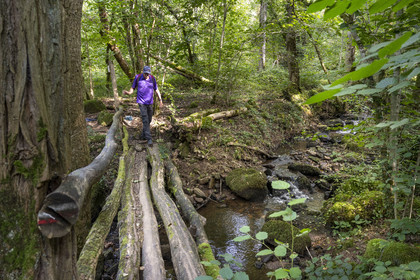 France, Yonne, Hervé Desruelles, retired farmer and head of the Terre de Légendes hiking club, in the Cousin River Valley towards Pontaubert