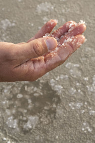 France, Charente-Maritime (17), Ile d'Oléron, Saint-Georges-d'Oléron, cueillette artisanale de la fleur de sel ici sur sa main par le saunier Samuel Barbereau (vue aérienne)