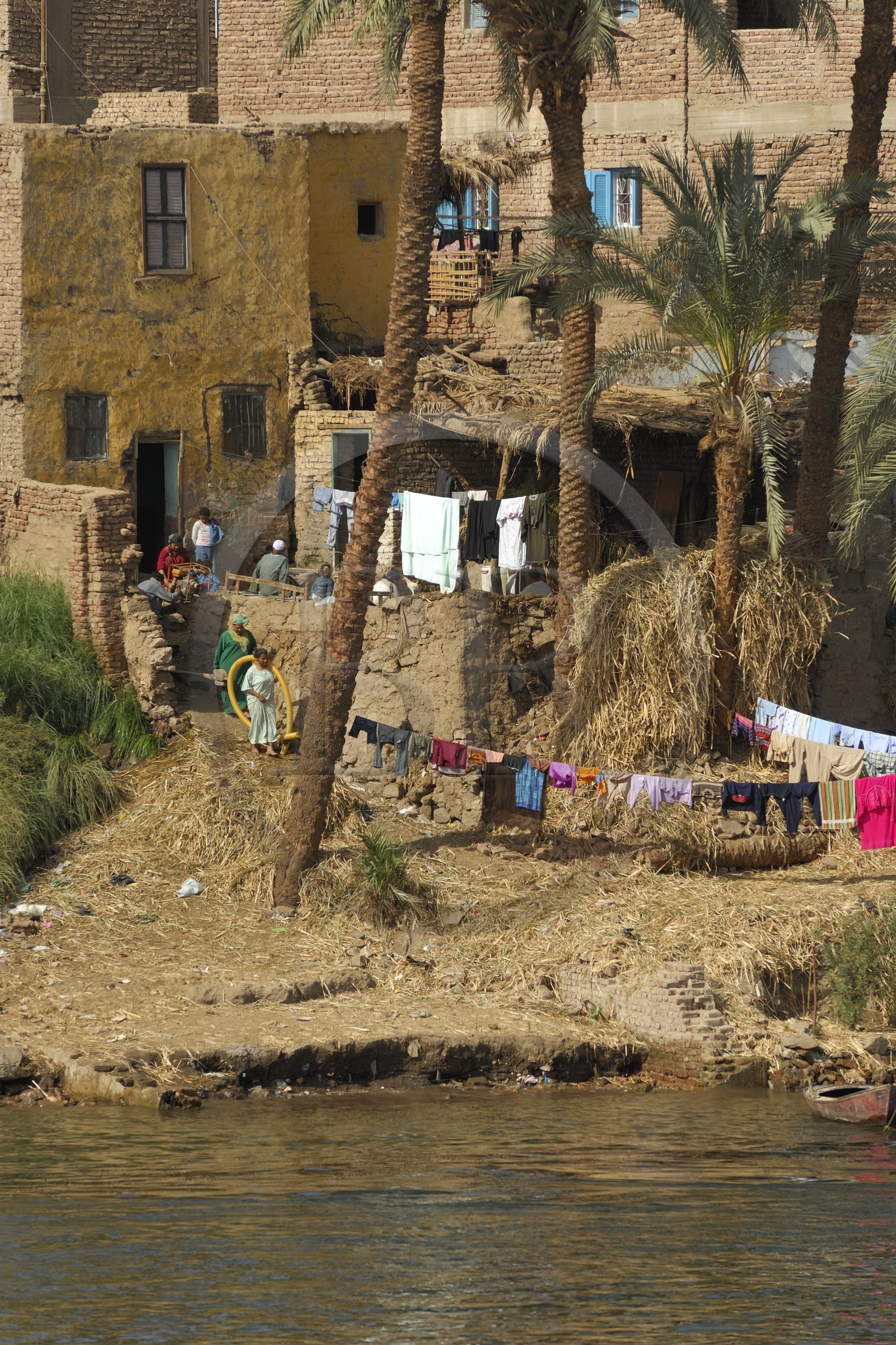 Egypte, Haute Egypte, vallée du Nil, le Nil entre Louxor et Esna