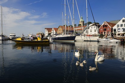 Norway, Rogaland County, Stavanger, pleasure boats and swans in the old harbour (Vagen)