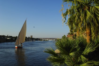 Egypte, Haute Egypte, vallée du Nil, Assouan, felouque sur le Nil