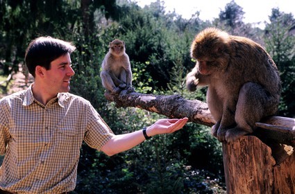 France, Bas Rhin, Kintzheim, Monkey Mountain