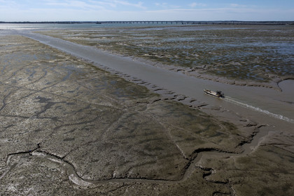 France, Charente-Maritime (17), Ile d'Oléron, le Chateau-d'Oléron, bateau ostréicole dans le chenal de sortie du port à marée basse et pecheurs à pied sur l'estran (vue aérienne)