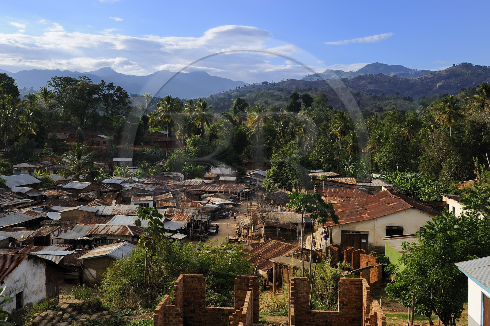 Tanzanie, région de Morogoro, les Monts Uluguru, village de Mkuyuni