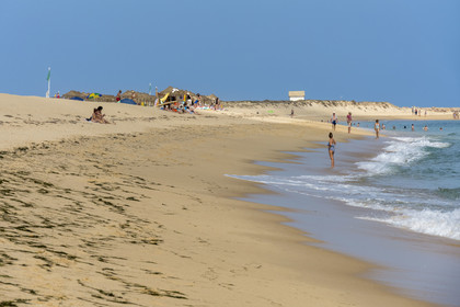 Portugal, Algarve, Ria Formosa Natural Park, Faro, the beach of Island of Barreta or Deserta (Ilha da Barretta or Deserta)
