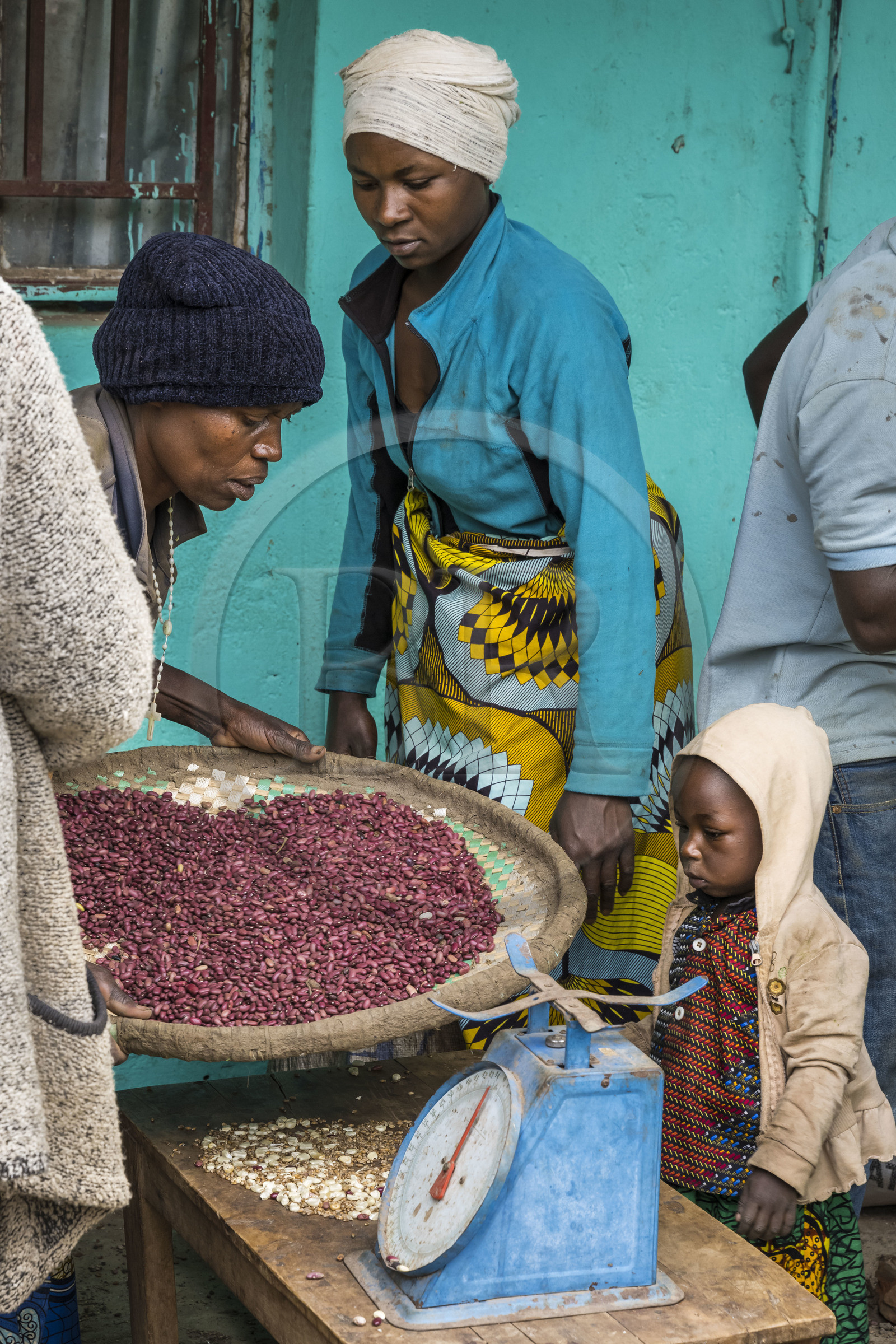Rwanda, Province du Nord, District de Musanze (Ruhengeri), jour de marché à Muryabazira sur la Route Nationale 4 entre Kigali et Ruhengori, tri de haricots rouges