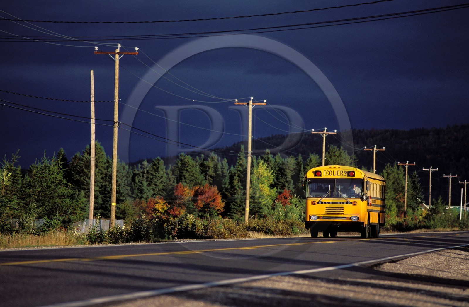 Canada, province de Québec, région du Manicouagan, Tadoussac, bus de ramassage scolaire