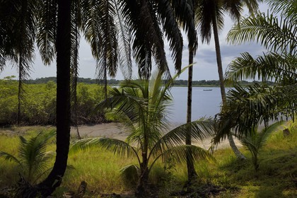 Gabon, province de l'Estuaire, Parc National Akanda