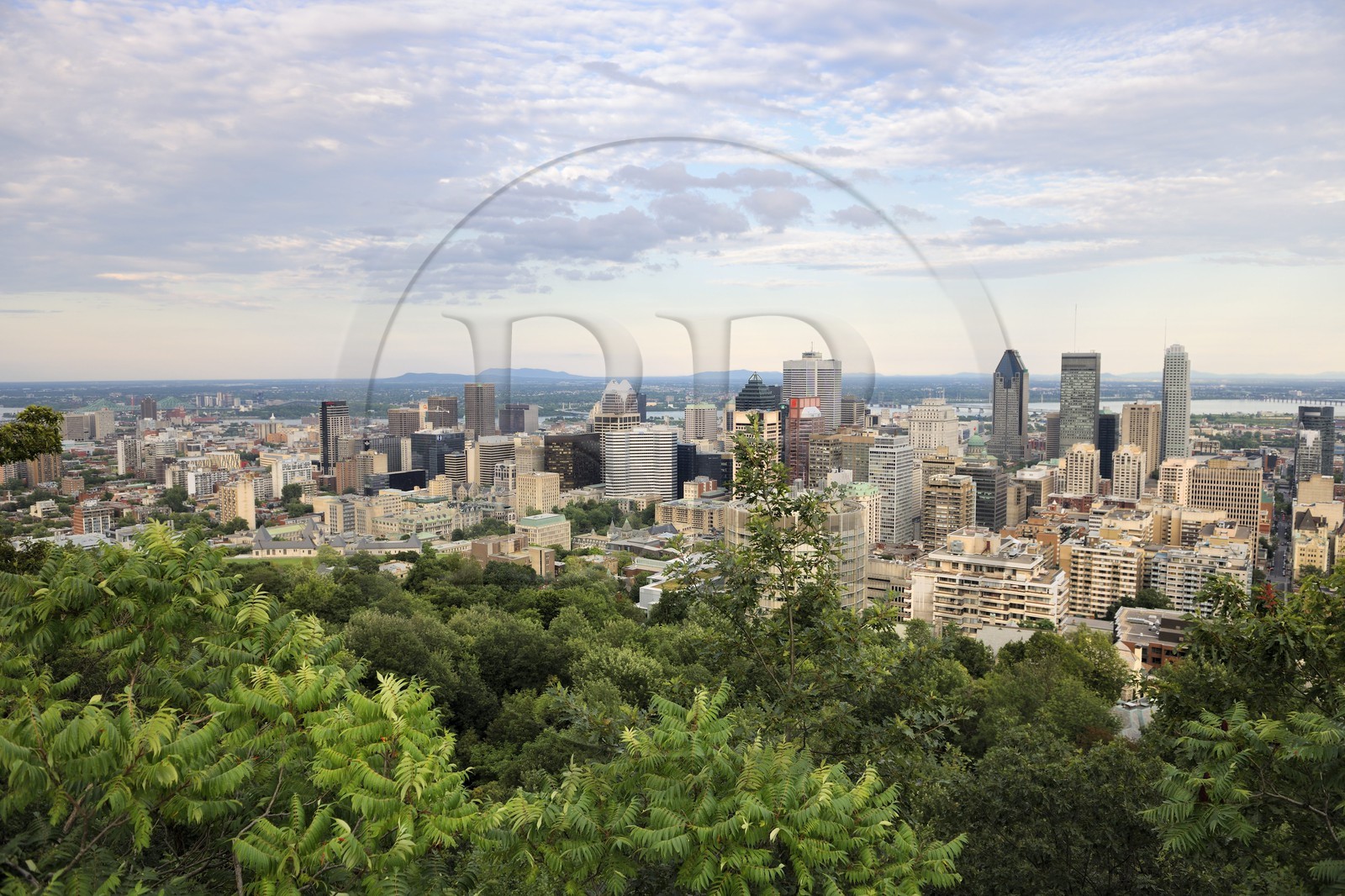 Canada, province de Québec, Montréal, la ville depuis le Belvédère du Chalet au parc Mont-Royal Canada, province de Québec, Montréal, la ville depuis le Belvédère du Chalet au parc Mont-Royal