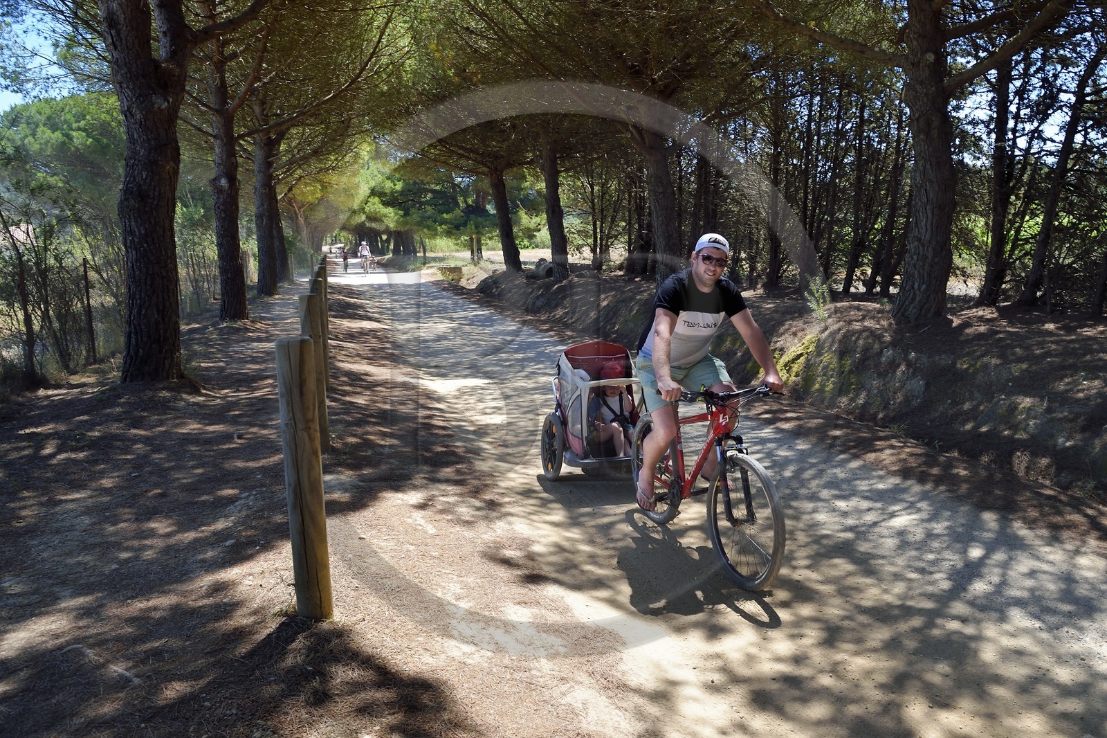 France, Var (83), Iles d'Hyères, parc national de Port Cros, Ile de Porquerolles, cyclo tour en famille sur les pistes de l'Ile