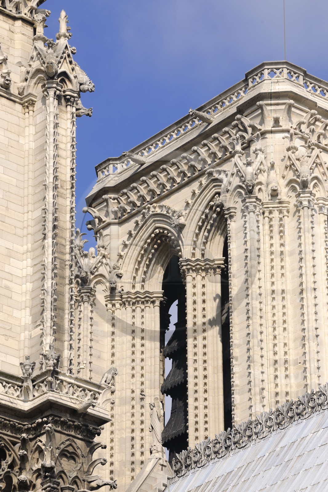 France, Paris (75), Ile de la Cité, cathédrale Notre-Dame de Paris, gargouilles de la tour nord