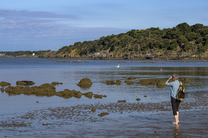 France, Loire-Atlantique (44), Baie de Bourgneuf, Pornic, cabanes de pêche traditionnelle au carrelet en bordure de la plage de Crêve-coeur à La Bernerie-en-Retz