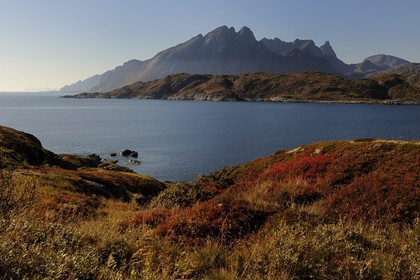 Norvège, Nordland, Iles Lofoten, Ile de Flakstadoy, pointe de Kunna sur le Skjelfjorden