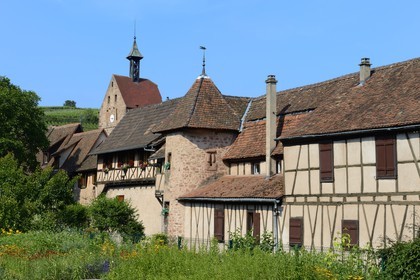 France, Haut Rhin, Riquewihr, labelled Les Plus Beaux Villages de France (The Most Beautiful Villages of France), the former city walls and the rear frontage of the Dolder