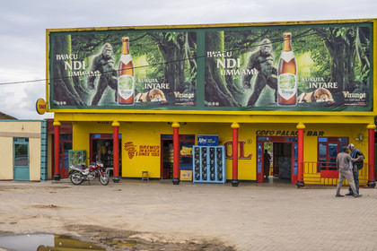 Rwanda, Province du Sud, Musambira, publicité pour la bière Virunga fabriquée au Rwanda mettant en scène un gorille