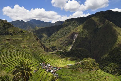 Philippines, province d'Ifugao, les rizières en terrasses de Banaue autour du village de Batad, classées Patrimoine Mondial de l'UNESCO, alimentées par un ancien système d'irrigation depuis la forêt tropicale au-dessus des terrasses
