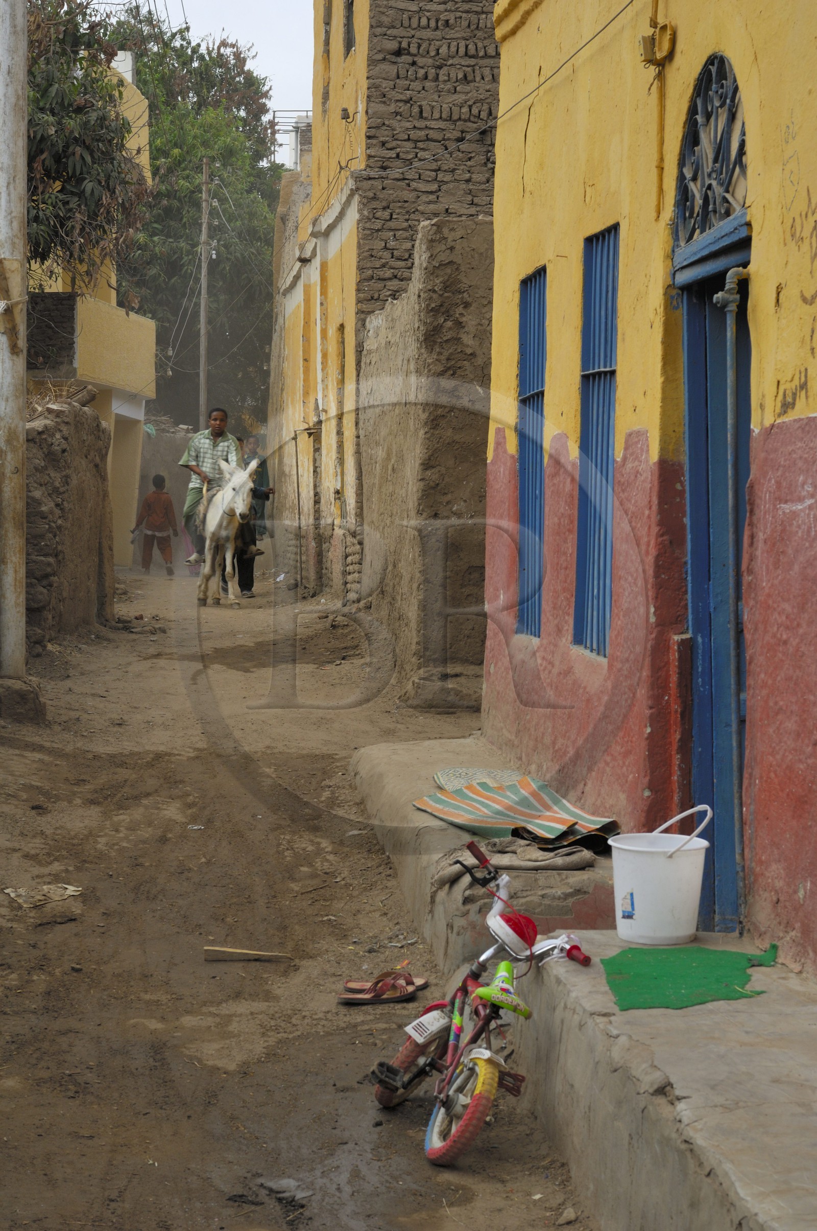 Egypte, Haute Egypte, Nubie, vallée du Nil, Assouan, Ile Elephantine, le village nubien