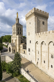 France, Vaucluse, Avignon, the Doms Cathedral and the Palais des Papes (Palace of the Popes) listed as World heritage by UNESCO