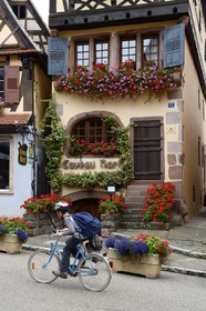 France, Bas Rhin, half Timbered house (1686) in Dambach la Ville on Market square