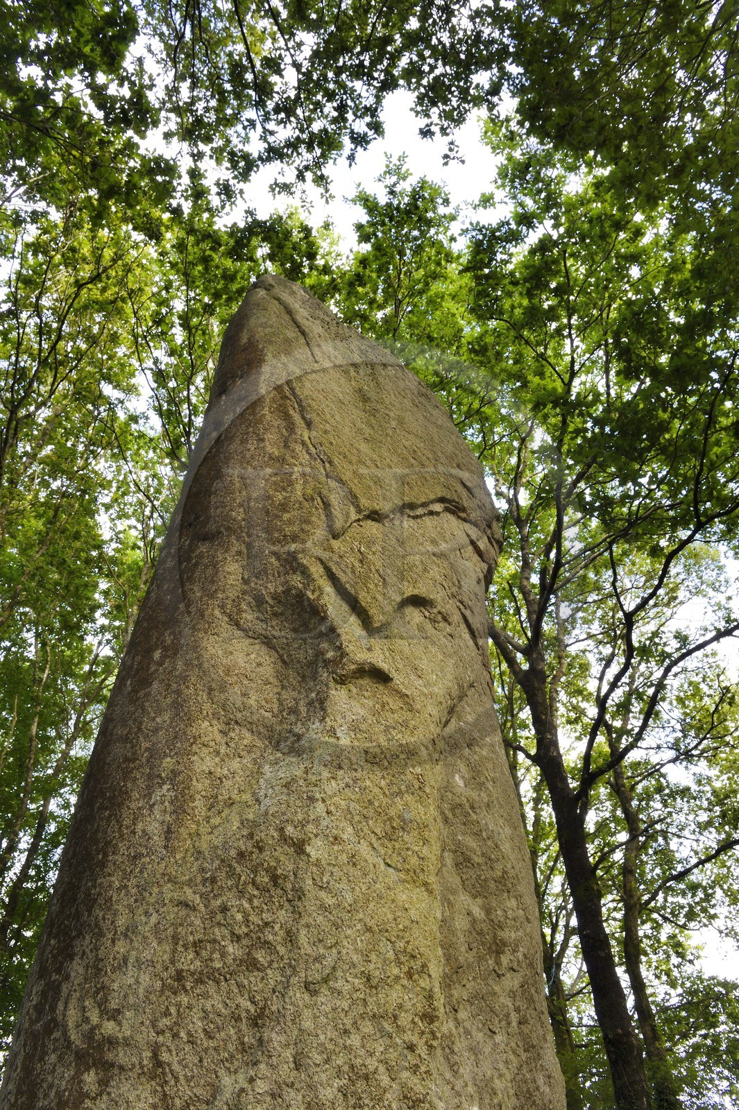 France, Morbihan (56), Moustoir-Ac, Menhir de Kermarquer-la-Lande