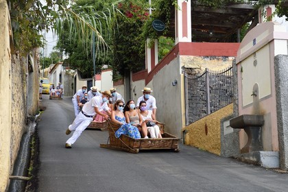 Portugal, Madeira Island, Funchal, tourists descending from the tropical garden in traditional wicker basket on the road camino do Monte