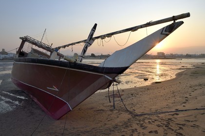 Sultanate of Oman, Ash Sharqiyah South Governorate, city and harbour of Sur, the old fishing quarter of Al Ayjah, boutre sur la plage à marée basse